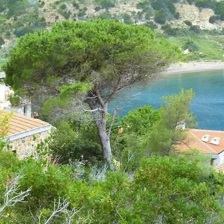 In Rio Nell Elba For 2 Person * Rio dellʼElba